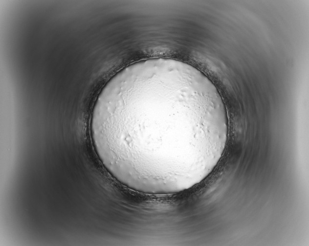 X0000093440545200710261042