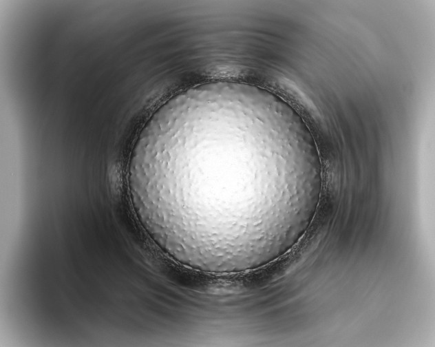 X0000093440549200710261042