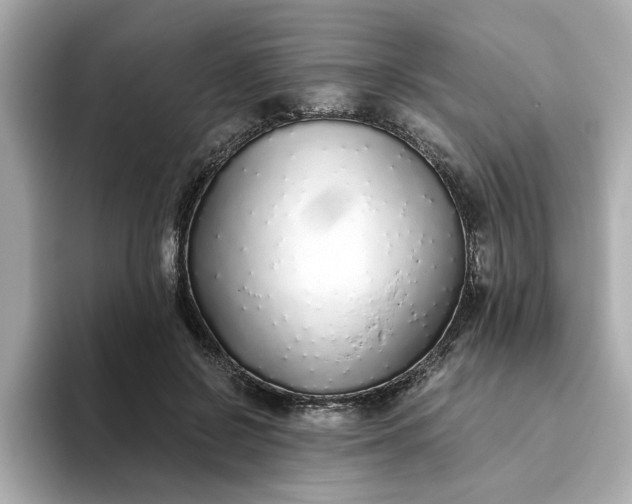 X0000093440550200710261042