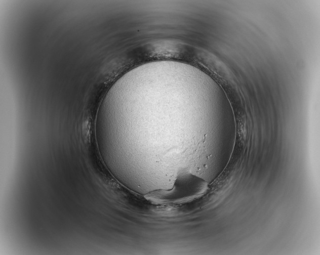 X0000093440551200710261042