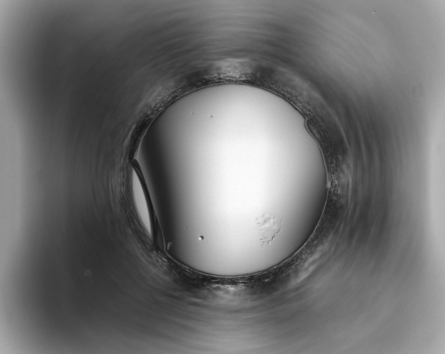 X0000093440552200710261042