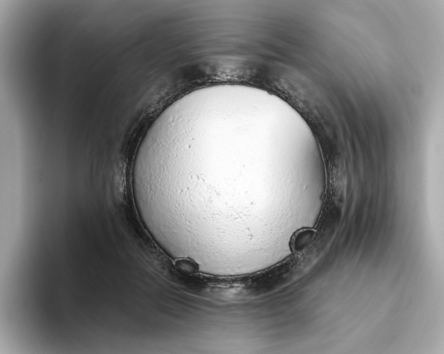 X0000093440554200710261042