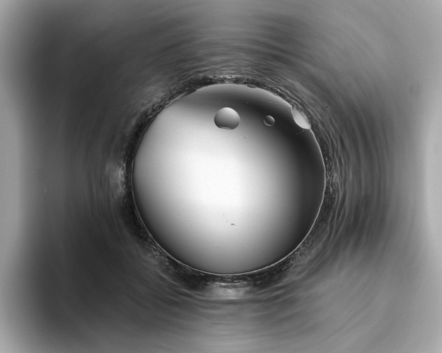 X0000093440556200710261042