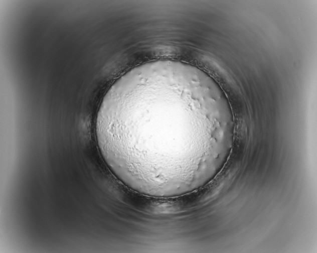 X0000093440557200710261042