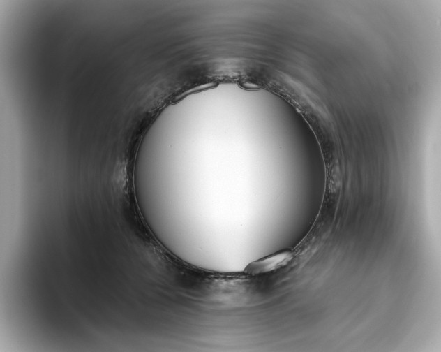 X0000093440560200710261042