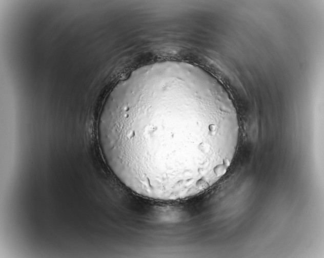 X0000093440561200710261042