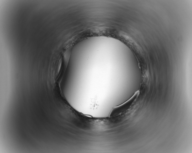 X0000093440566200710261042
