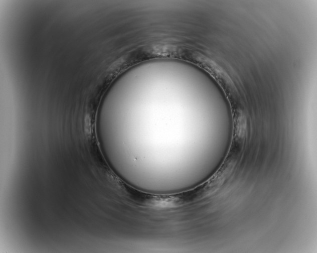 X0000093440569200710261042