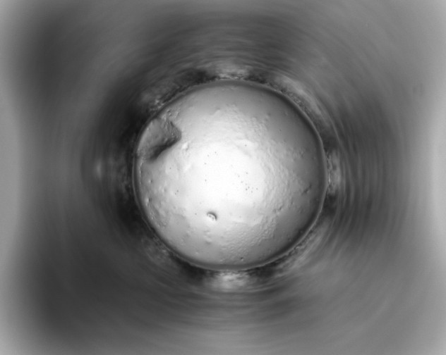 X0000093440573200710261042