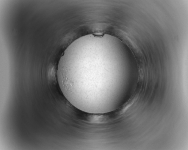 X0000093440575200710261042