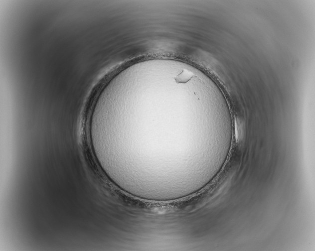 X0000093440579200710261042