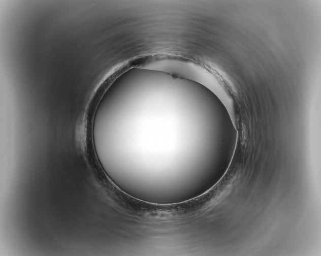 X0000093440580200710261042