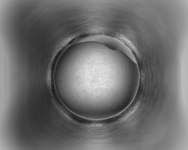 X0000093440581200710261042