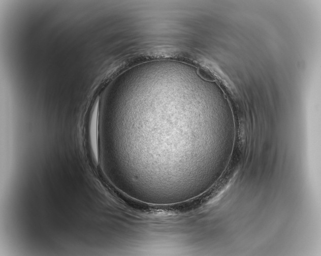 X0000093440585200710261042