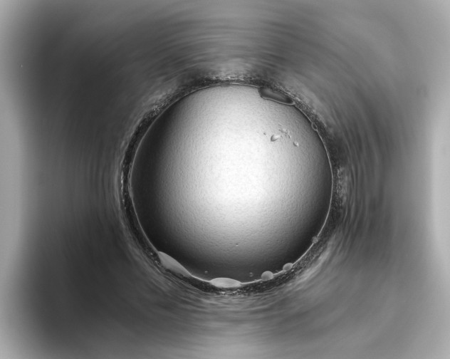 X0000093440589200710261042