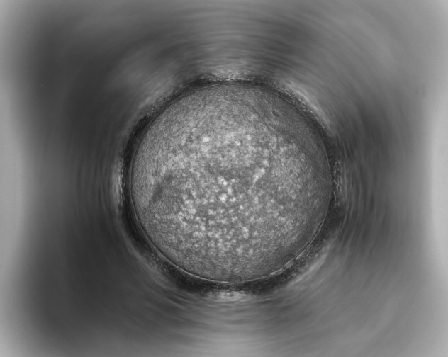 X0000093440590200710261042
