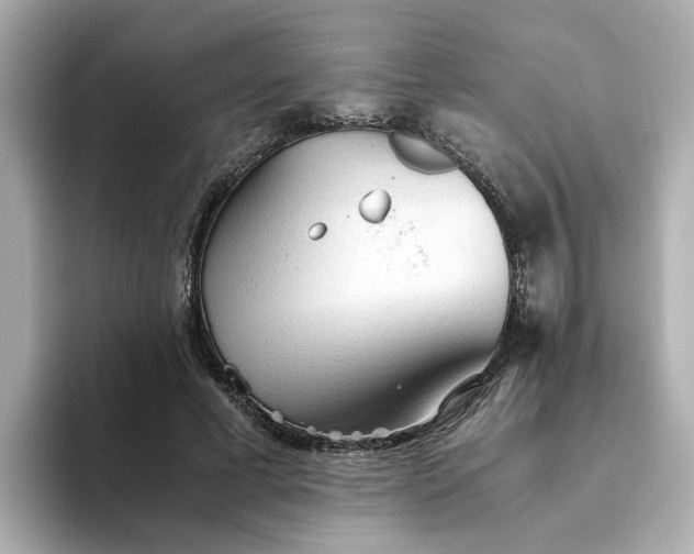 X0000093440593200710261042