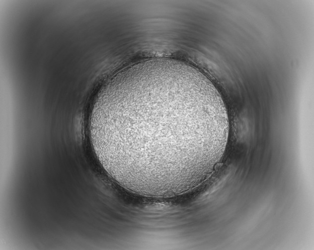 X0000093440594200710261042