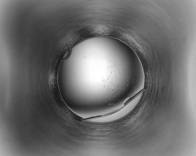 X0000093440597200710261042