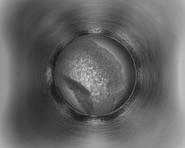 X0000093440598200710261042