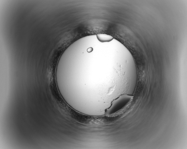 X0000093440599200710261042