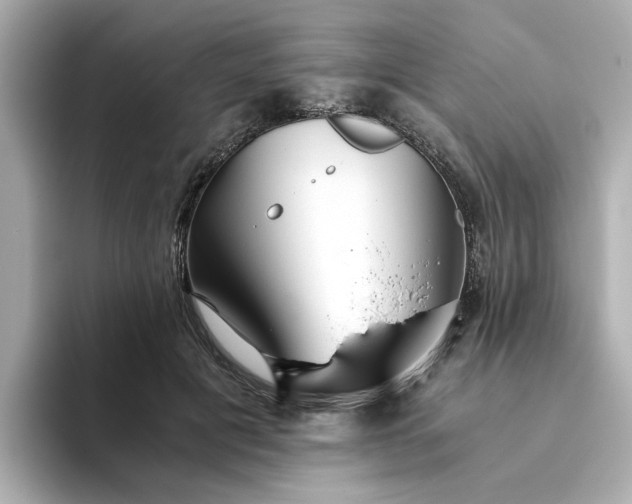 X0000093440601200710261042