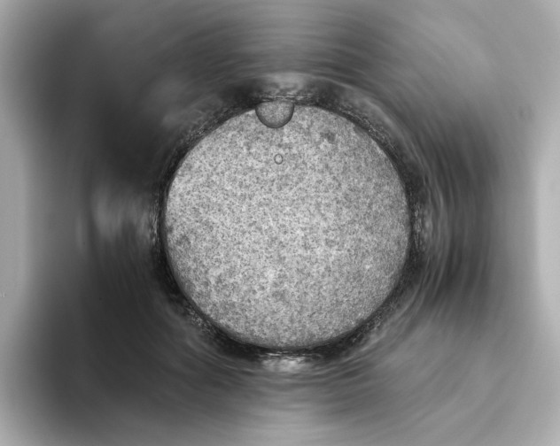 X0000093440602200710261042