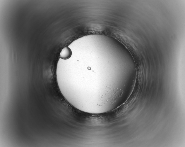 X0000093440608200710261041