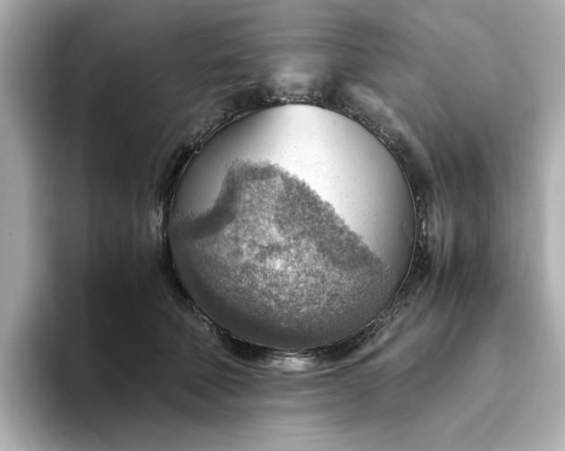 X0000093440610200710261041