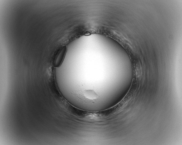 X0000093440611200710261041