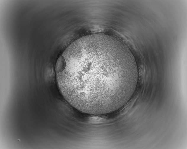 X0000093440614200710261041
