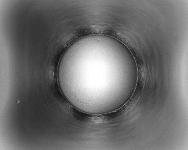 X0000093440615200710261041