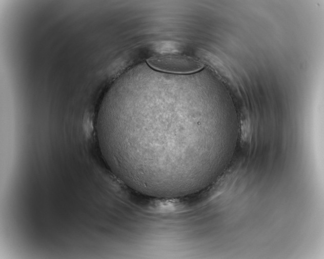 X0000093440618200710261041