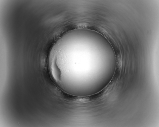 X0000093440619200710261041