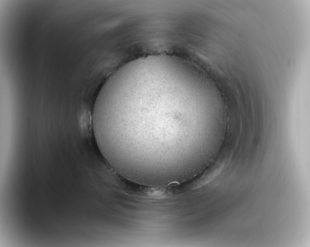 X0000093440624200710261041