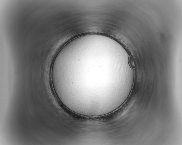 X0000093440625200710261041