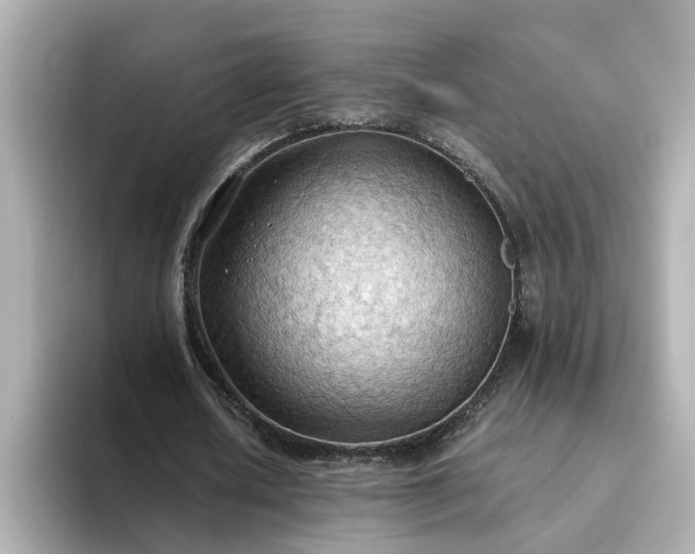 X0000093440626200710261041