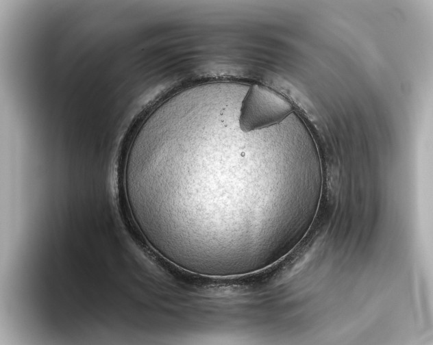 X0000093440629200710261041