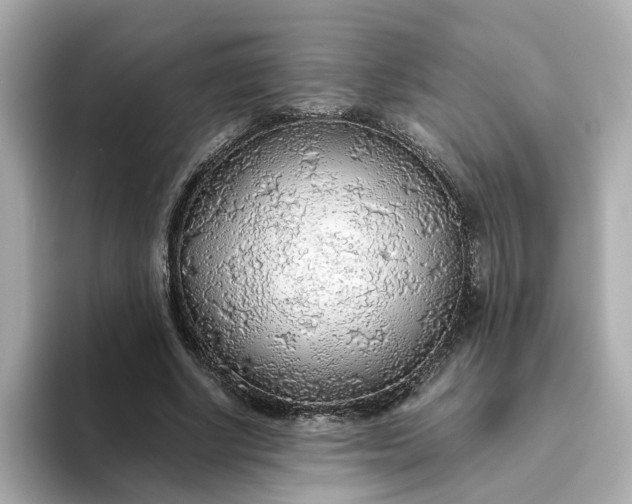 X0000093440634200710261041