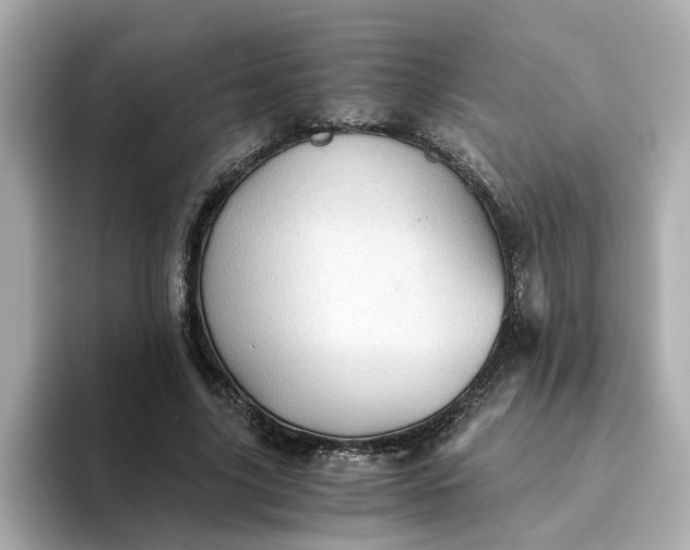 X0000093440635200710261041