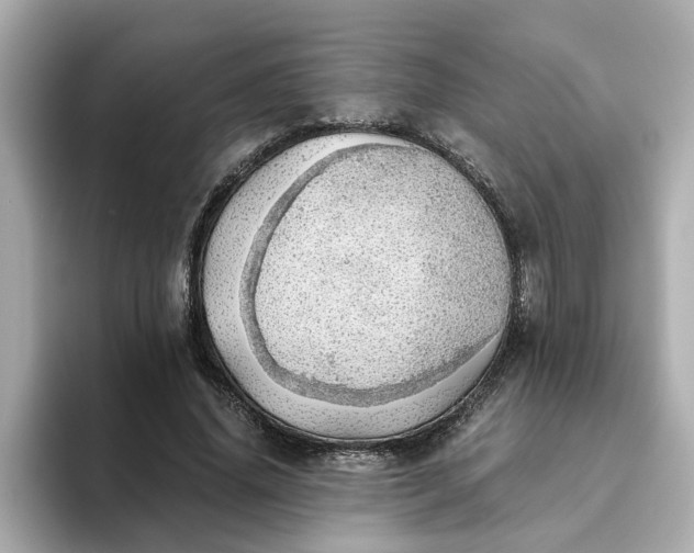 X0000093440636200710261041
