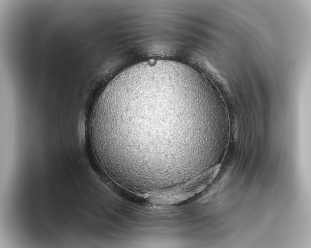 X0000093440637200710261041