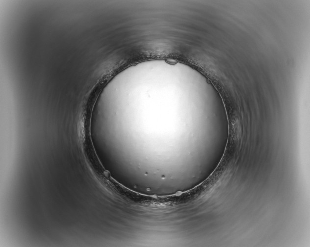 X0000093440638200710261041