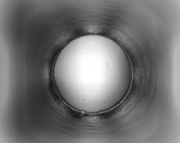 X0000093440639200710261041