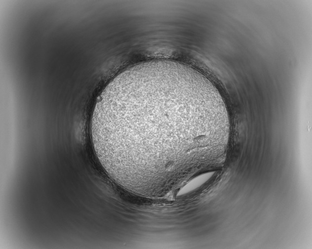 X0000093440641200710261041