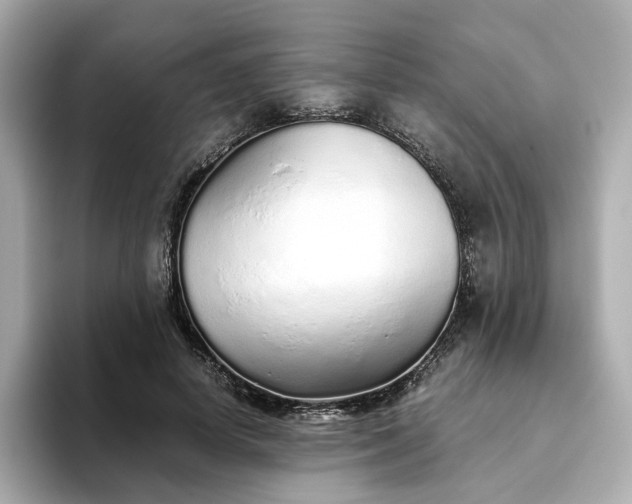 X0000093440642200710261041