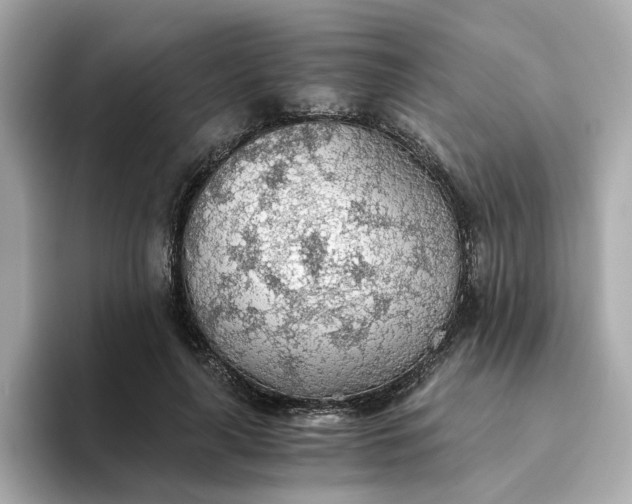 X0000093440643200710261041