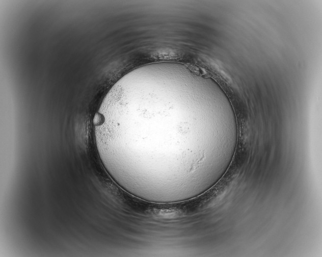 X0000093440645200710261041