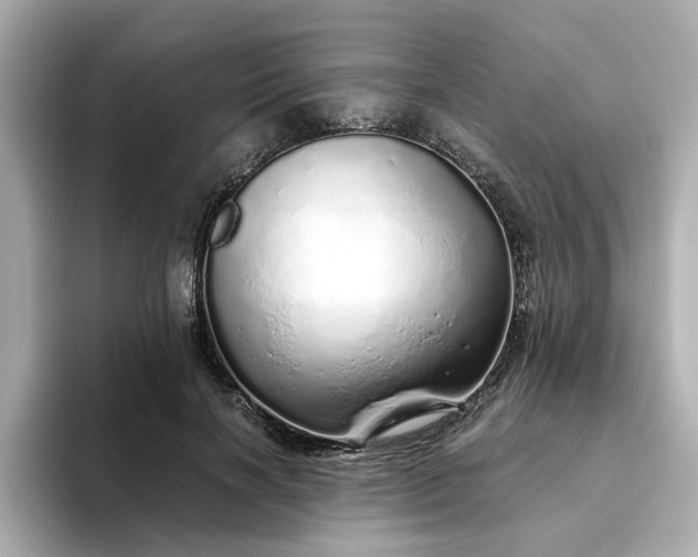 X0000093440646200710261041