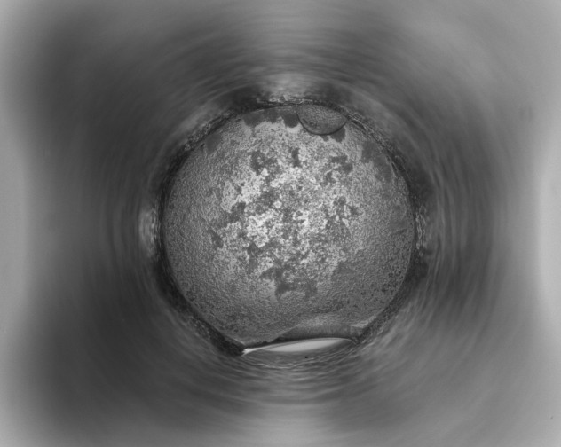X0000093440648200710261041